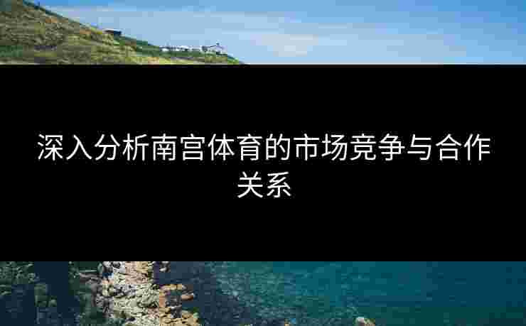 深入分析南宫体育的市场竞争与合作关系