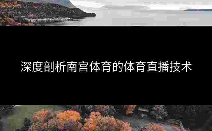 深度剖析南宫体育的体育直播技术