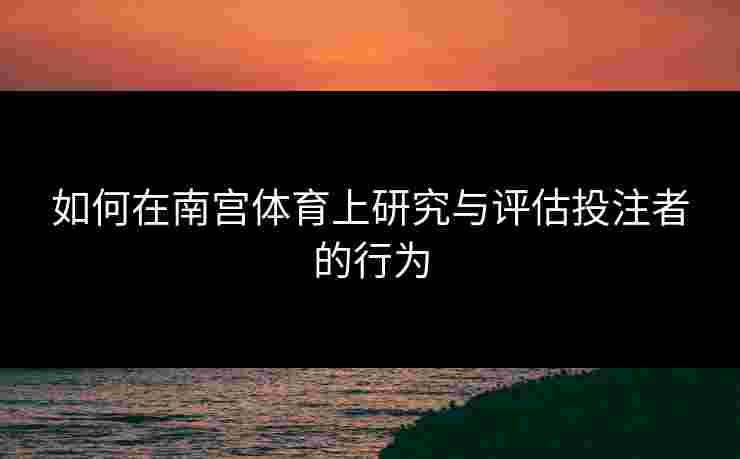 如何在南宫体育上研究与评估投注者的行为