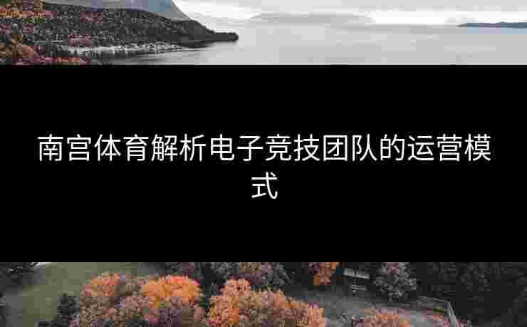 南宫体育解析电子竞技团队的运营模式